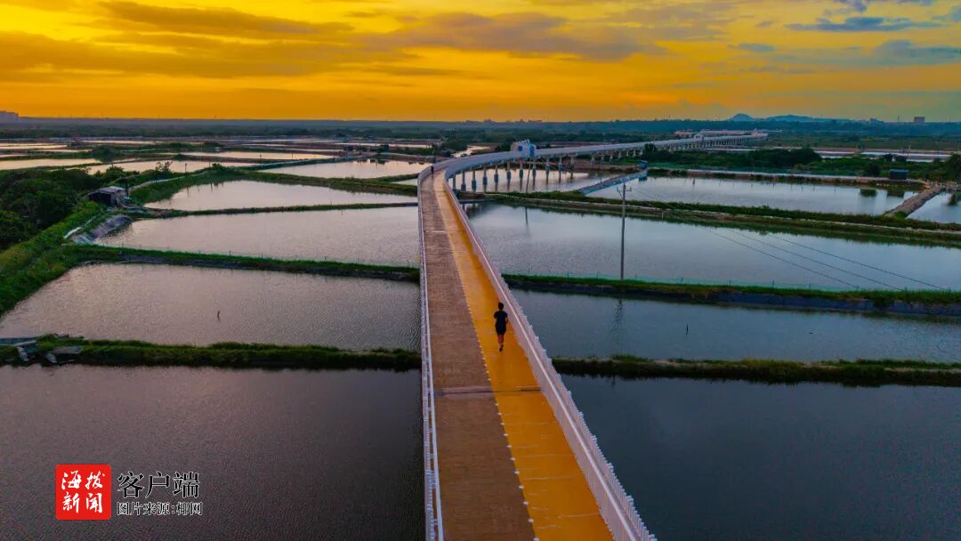 港口机械轰, align, 情开跑 港口机械轰, align, 情开跑