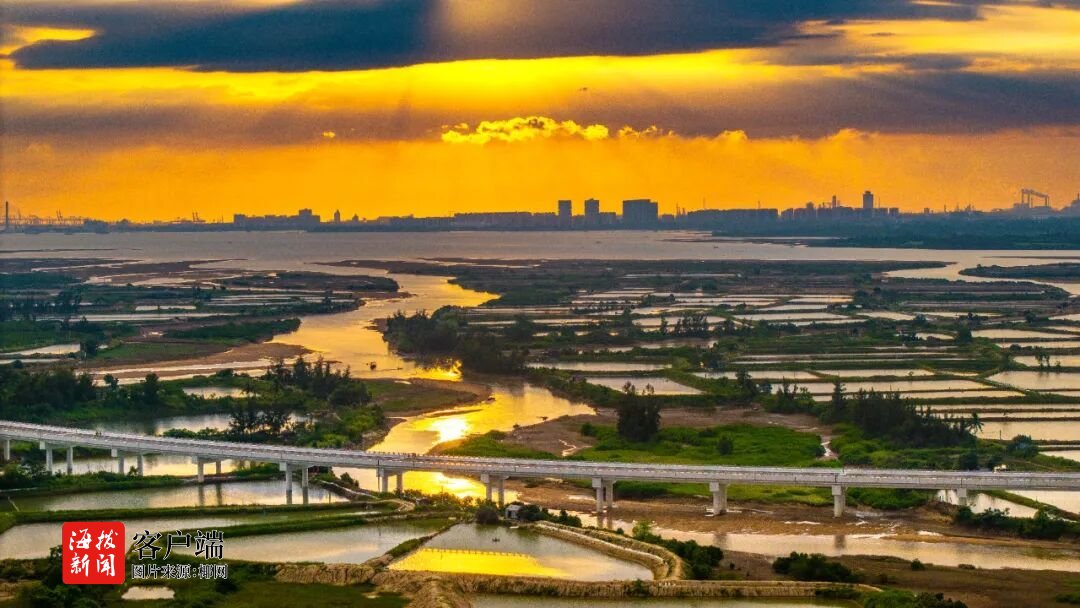 年第五届儋 年第五届儋