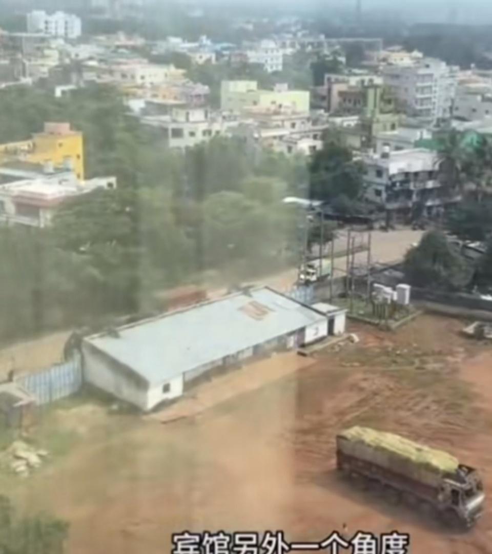 西红柿, 和蛤蟆 西红柿, 和蛤蟆